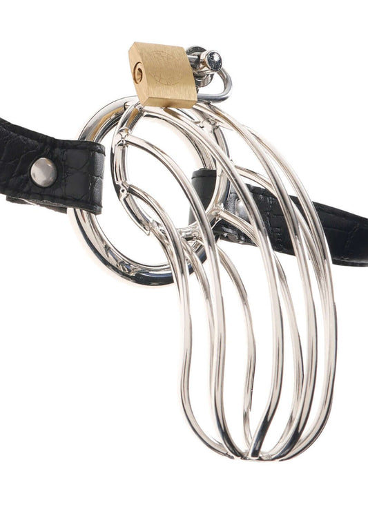 Cage de Chasteté Métal MicroTechPro
